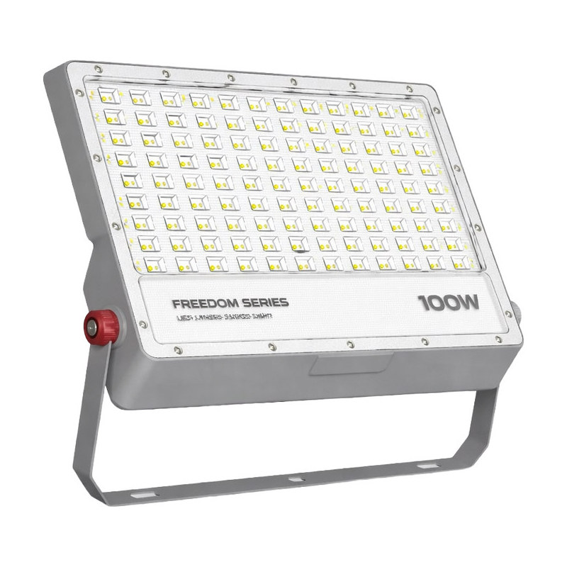 Others DIPL OEM - FREEDOM - FLOOD LIGHT - 100W - CW