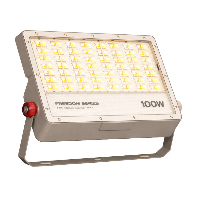 Others DIPL OEM - FREEDOM - FLOOD LIGHT - 100W - WW